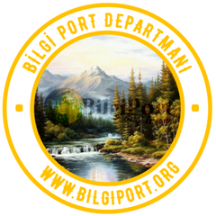 bilgiport